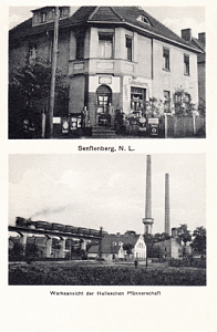 Senftenberg